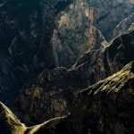 3-ozzie travelCOLCA4