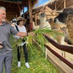 ALPACA FARM FOTO 2 GALERIA