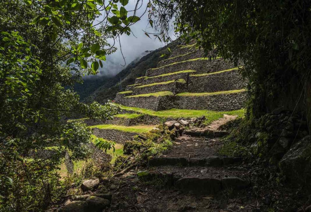 1-ozzie travel-CaminoInca-236